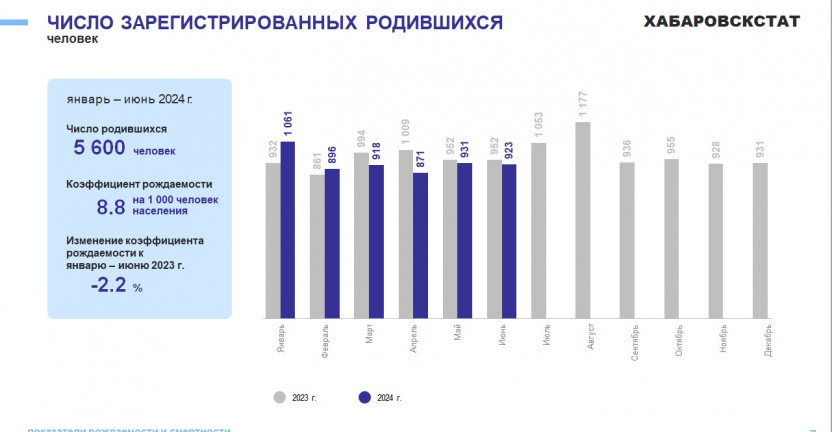 Демографические показатели Хабаровского края за январь-июнь 2024